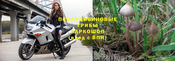 ешки Саяногорск